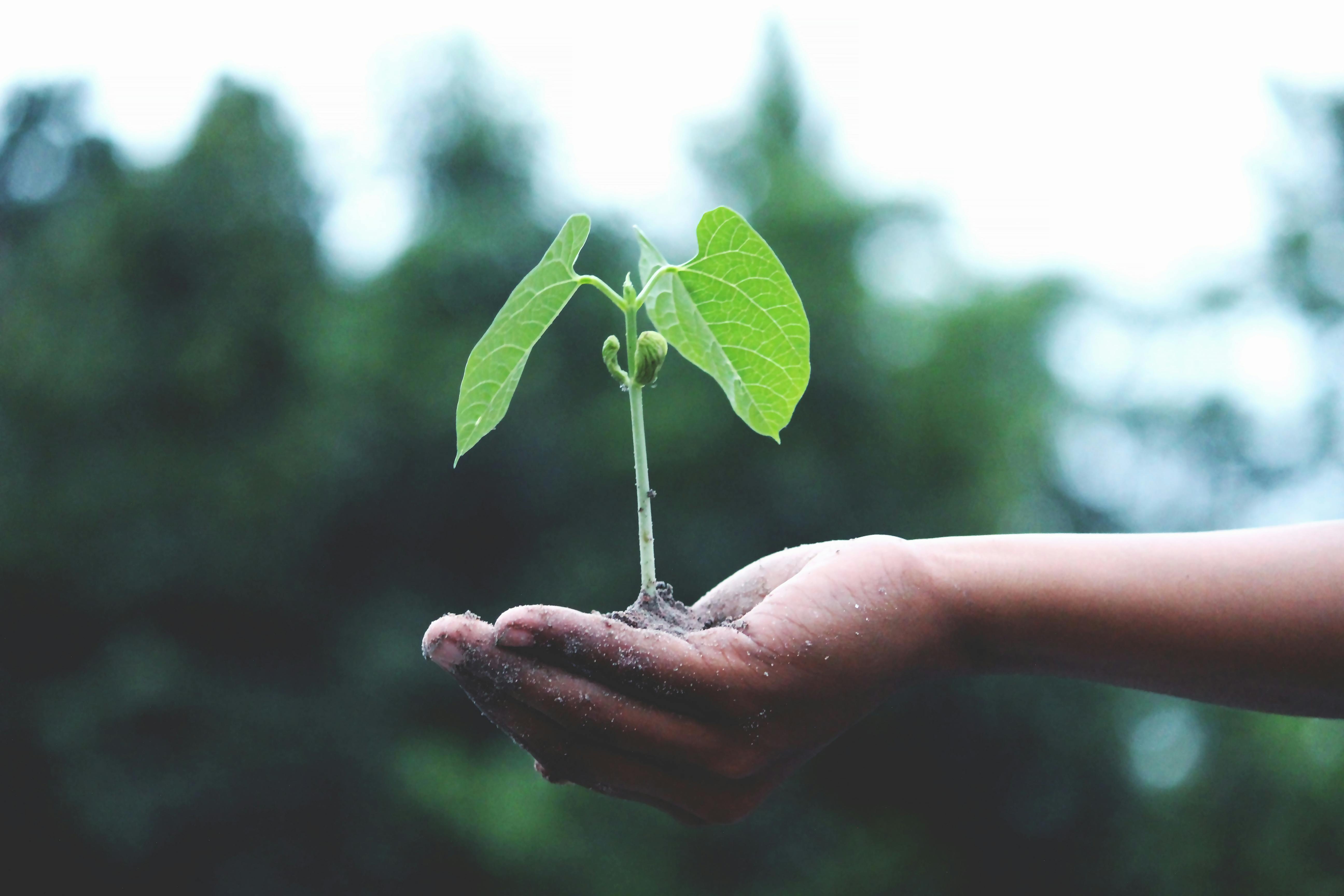 Growth Culture – The DNA for change